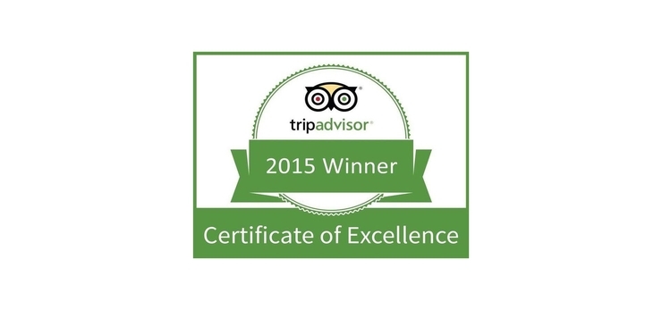 1CertificateOfExcellence2015